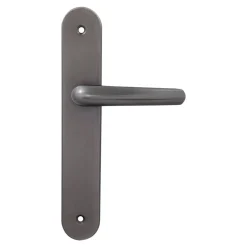 2 poignées de porte sur plaque rond Amga, entraxe 195mm, coloris titane