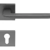 2 poignées rosace carrée A CLIPSER, rosace trou de clé I pour cylindre, finition gris garantie 5 ans, pour porte d'entrée.