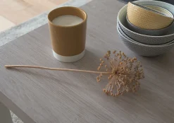 Adhésif décoratif d-c-fix® bois chêne Santana chaux 2.10m x 0.90m