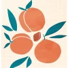 Affiche Abricot fruits l.40 x H.50 cm orange et bleu