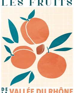 Affiche Abricot fruits l.40 x H.50 cm orange et bleu
