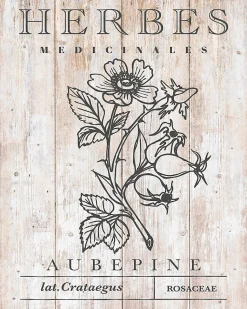 Affiche Aubepine Dada Art l.24 x h.30 cm