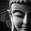 Affiche bouddha Dada Art l.40 x H.50 cm