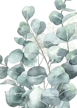 Affiche eucalyptus vert l.50 x 70 cm Dada art