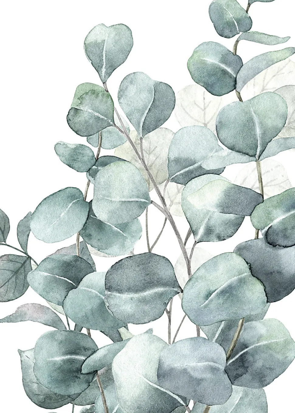 Affiche eucalyptus vert l.50 x 70 cm Dada art
