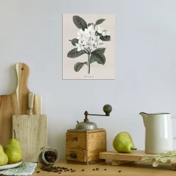 Affiche fleur sauvage blanche l.24 x l.30 cm Dada Art