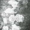 Affiche fleurs noir et blanc 40 x 50 cm