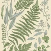 Affiche herbier n°2 l.30 x H.40 cm Dada Art
