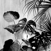 Affiche jungle noir et blanc L.40 x H.50cm Dada Art