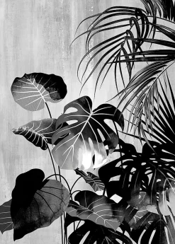 Affiche jungle noir et blanc L.40 x H.50cm Dada Art
