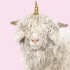 Affiche lama licorne l.24 x l.30 cm Dada Art