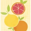 Affiche les fruits de la côte d'azur Dada Art l.40 x H.50 cm jaune-orange