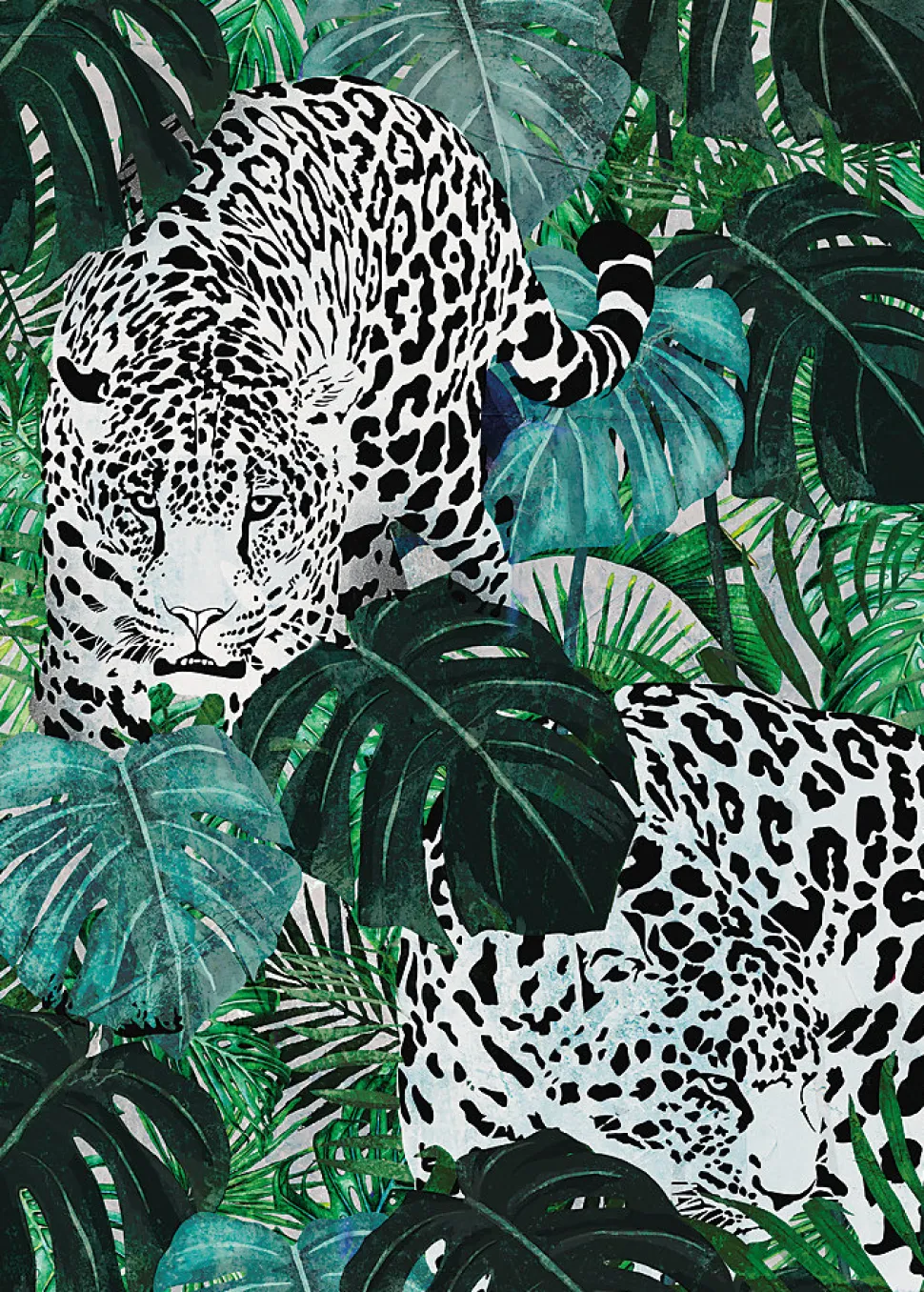 Affiche léopard jungle vert L.40 x H.50cm Dada Art