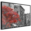 Affiche Murale Encadrée "Autumn Colours II" 30 x 20 cm Noir
