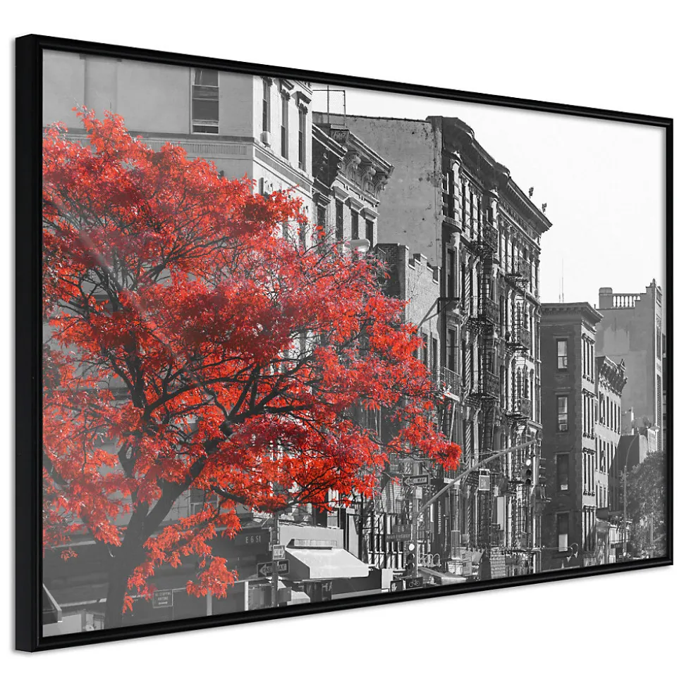 Affiche Murale Encadrée "Autumn Colours II" 30 x 20 cm Noir