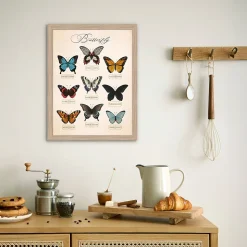 Affiche planche vintage papillons l.30 x l.40 cm Dada Art