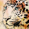 Affiche portrait léopard effet aquarelle L.40 x H.50cm Dada Art