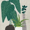 Affiche pots et plantes L.40 x H.50cm Dada Art