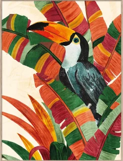 Affiche Toucan toucan, animaux l.60 x H.80 cm multicolore