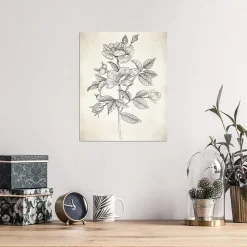 Affiche vintage herbier l.24 x H.30 cm Dada Art