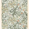 Affiche William Morris l'art du motif du mouvement art & craft botanique Dada Art l.40 x H.50 cm