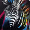 Affiche zèbre grafiti multicouleurs l.40 x l.50 cm Dada Art