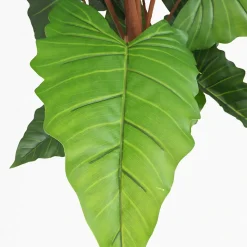 Alocasia artificiel toucher naturel 150cm