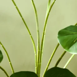 Arbre artificiel plante artificielle Monstera H. 180 cm tronc branches lichen feuilles de tortue grand réalisme pot inclus