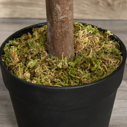 Arbre artificiel plante artificiel Alstonia scholaris hauteur 1,2 m tronc branches lichen 693 feuilles grand réalisme pot inclus