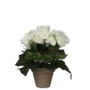 Begonia blanc artificiel ø20 x h.25 cm en pot Stan gris ø9 cm