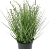 Berry onion grass artificiel h.35 cm