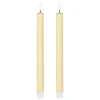 Bge led btn tilia x2 or - feeric lights & christmas