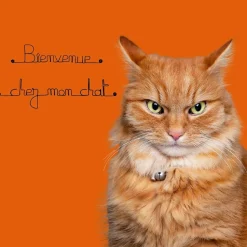 Bienvenue chez mon chat - Sculpture fil de fer 50-60 cm - Bijoux de mur