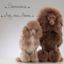 Bienvenue chez nos chiens - Sculpture fil de fer 50-60 cm - Bijoux de mur