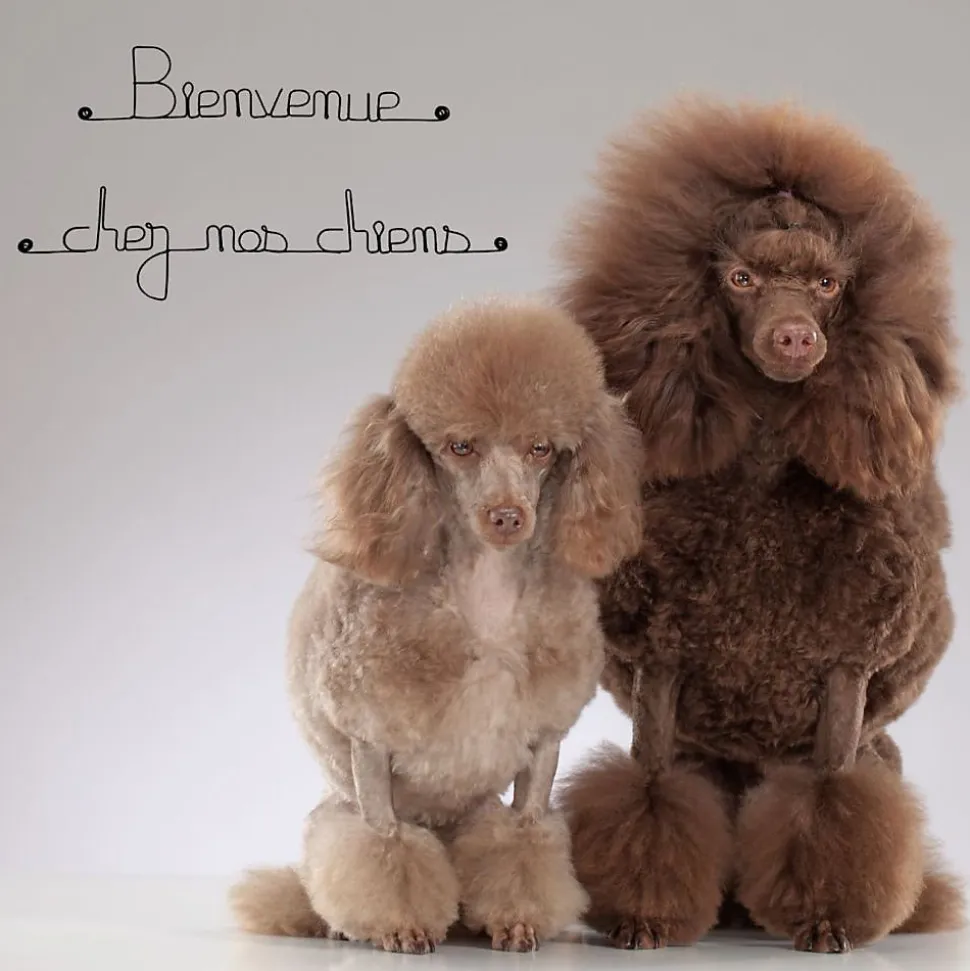 Bienvenue chez nos chiens - Sculpture fil de fer 50-60 cm - Bijoux de mur