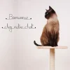 Bienvenue chez notre chat - Sculpture fil de fer 50-60 cm - Bijoux de mur