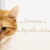 Bienvenue chez notre chat - Sculpture fil de fer 50-60 cm - Bijoux de mur