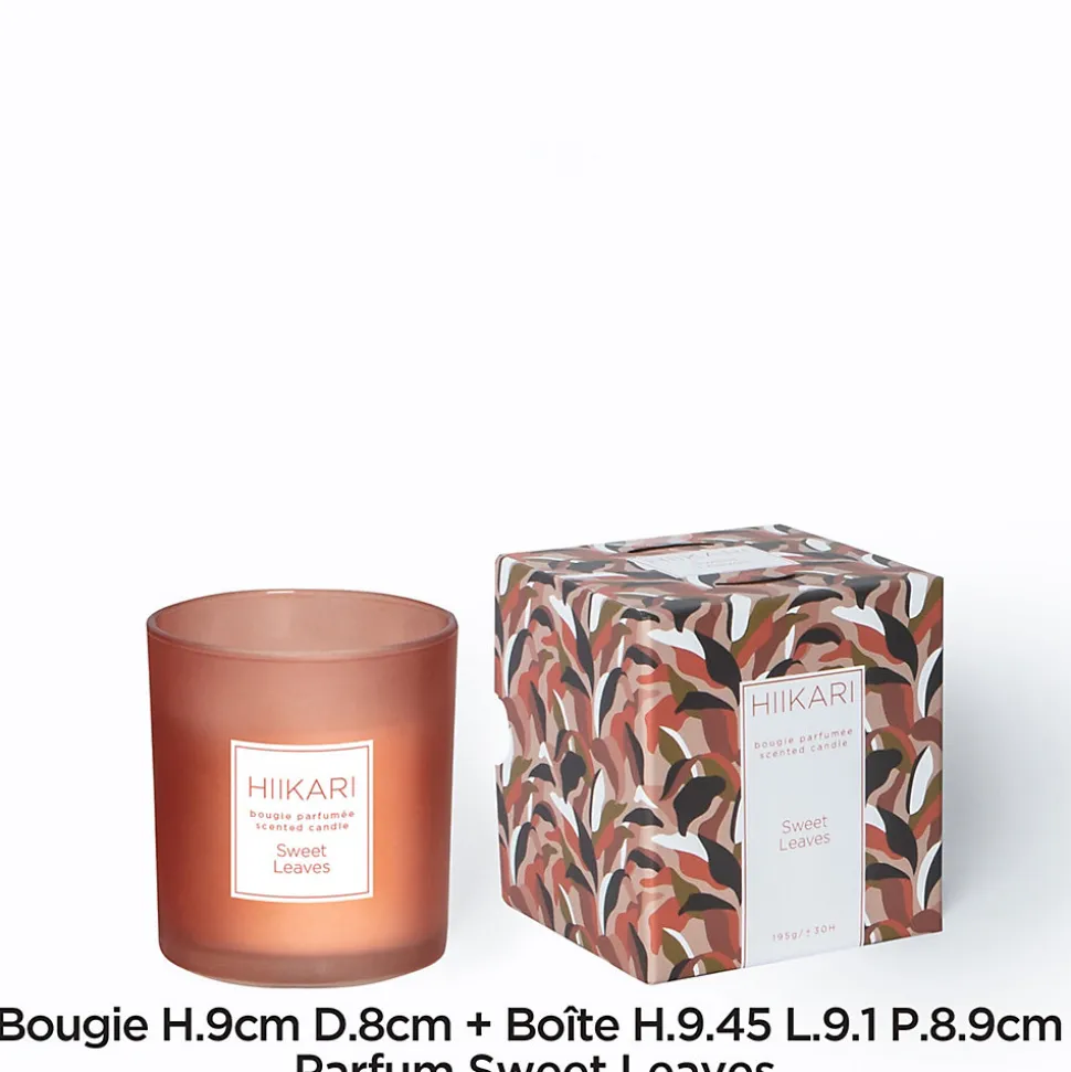 Bougie parfumée Sense sweet leaves 195g JBY creation