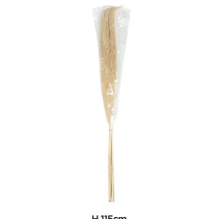 Bouquet de 3 pampas séchées H.45cm JBY Creation