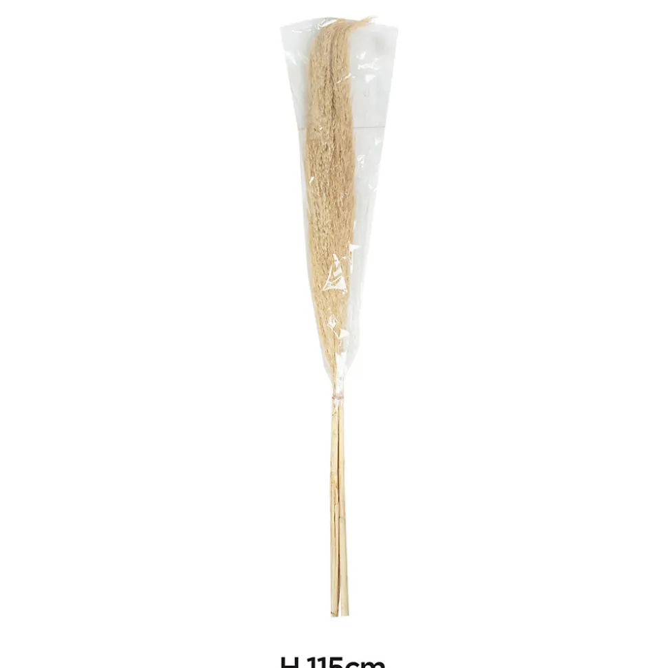Bouquet de 3 pampas séchées H.45cm JBY Creation