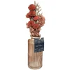 Bouquet de fleurs séchées en vase Wonder - Rouge- Atmosphera