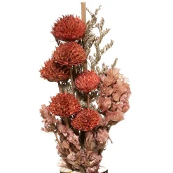 Bouquet de fleurs séchées en vase Wonder - Rouge- Atmosphera