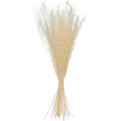 Bouquet de plantes séchées Atmosphera