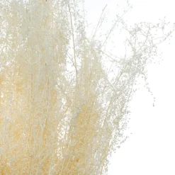 Bouquet de plantes séchées Atmosphera