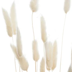 Bouquet de plantes séchées Atmosphera
