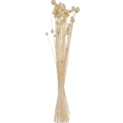 Bouquet de plantes séchées Atmosphera