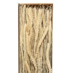Bouquet fleurs séchées - boîte kraft H60 cm - Jaune- Atmosphera