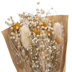 Bouquet fleurs séchées Chardon H48 cm - Blanc- Atmosphera