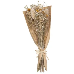Bouquet fleurs séchées Chardon H48 cm - Blanc- Atmosphera