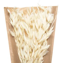 Bouquet fleurs séchées H45 cm - Blanc- Atmosphera